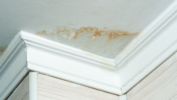 Feuchte Decke mit Schimmelbildung